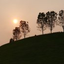 순천만둥지 이미지