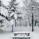 한장미아파트 이미지