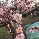 뤼팽군 생빵중요~~~ 이미지