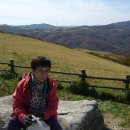 양재목장 이미지