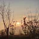 신대지구부동산공인중개사사무소 이미지