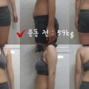 프로젝트짐