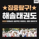해솔태권도 | -해솔 태권도 세미나 후기