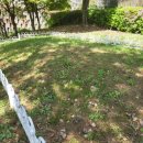 탄요유적공원 이미지