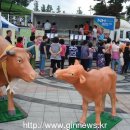 한우암소판매