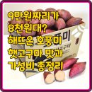9만원짜리가 8천원대? 해뜨온 호풍미 햇고구마 맛과 가성비 총정리