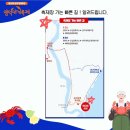 강구대게축구장 이미지