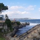 체육관 삼거리 이미지