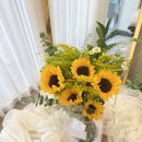 중앙동289 이미지