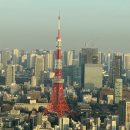 6152 | 도쿄 롯폰기 힐즈 전망대 예약, 가는 길, 도쿄 타워 야경 감상 후기