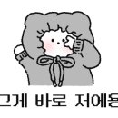 전주모주초콜릿