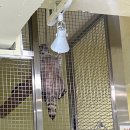 이산프라자2 | 외박_최최최종진짜최종리얼최종.png