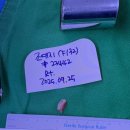 연세백퍼센트병원 | 발목 전거비인대 완전파열 수술, 입원 후기(1년 넘게 버티다 결국 수술함)2