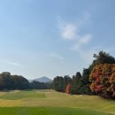 이포골프장 이미지