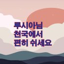 루시아님 천국에서 편히쉬세요 이미지