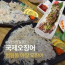 국제횟집 | 부산 범일동 오징어회 맛집 국제오징어 내돈내산 후기