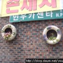 인우카센타 이미지