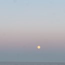 비고리조트 19 | 칸쿤 신혼여행 여행사 추천 | 뉴욕 칸쿤 허니문 견적 비교 후기 (여행산책/팜투어/허니문리조트)