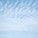 곽지하우스 민박 이미지