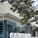 소무 | [포항 흥해 카페] 개냥이 있는 논뷰 카페 "소무랑"