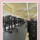 네오 피트니스 | 부산강서구헬스장 공단 직원 체력 관리용으로 딱인 네오피트니스 후기