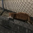 김정수한의원 | ᴅᴇᴄᴇᴍʙᴇʀ