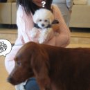 행운토토 이미지