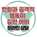 [온라인상담: 산만함과 공격성을 보이는 아이 어떻게 할까요?] 한국아동청소년심리상담센터 이미지