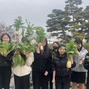 청주여자상업고등학교 이미지