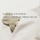 눈아들 글에 신고충 저주 걸어놔 ㅋ 이미지