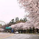 두류공원로 이미지