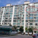 정왕동물약국 이미지