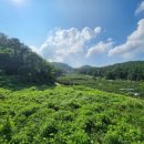 동읍스카이공인중개사사무소 이미지