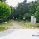 암남공원로 이미지