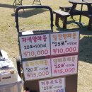 반디장터 이미지