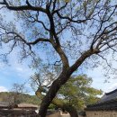 NR-20[지리산대로]-상-28 | 경남 산청 여행 1일째 - 남사예담촌, 방목리카페, 정취암, 수선사