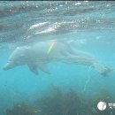 종달로가 이미지