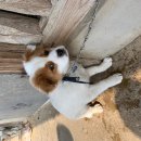 전봉준로 이미지