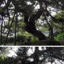 시도 석실로 이미지