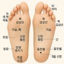 파스의 진화! 발바닥 경락파스 허리통증에 정말 효과 있을까?