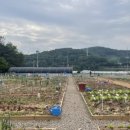 대구농장 이미지