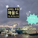 이순신고등학교 | 가을 단풍 여행 추천 코스 대매물도 해품길 쿠크다스 소매물도 최적의 뷰 강력 추천 후기