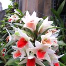 반포삼정공인중개사사무소 이미지