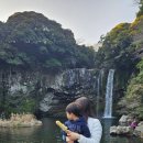 천지연폭포 | 제주 아기랑 어디갈까? 천지연폭포 다녀온 후기 유모차 가능 + 올레야시장 추천 코스