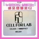 불당상가2 | 천안 불당 체지방관리 ｜ 셀포랩 멜로디 천안 불당점 원적외선 후기