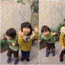 미스터피자 인덕원점 이미지