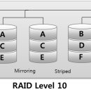 RAID 네이버블로그