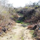 우람 태양광발전소 이미지