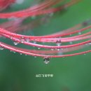 아름다운상사