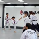 바르다 태권도장 이미지